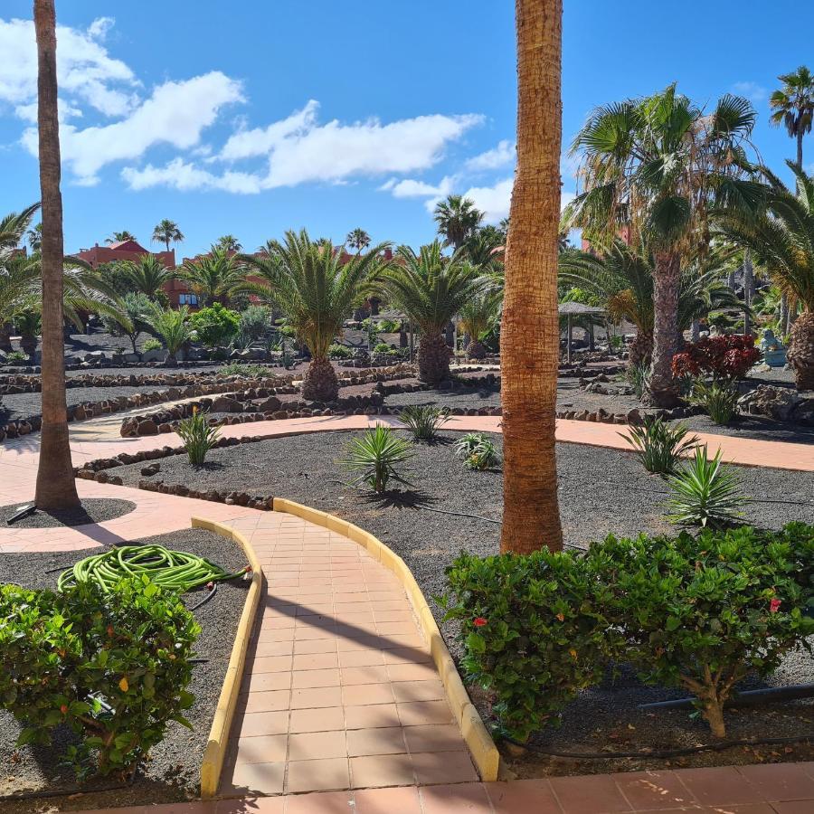 Oasis Royal F217 Apartment Corralejo Exterior photo